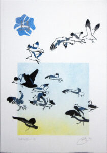 4-layer stencil of seagulls in various stages of flight